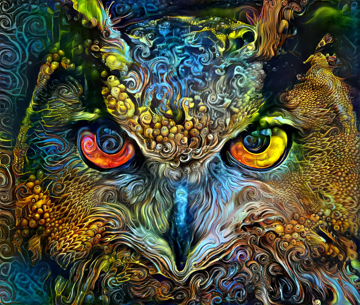 Owl