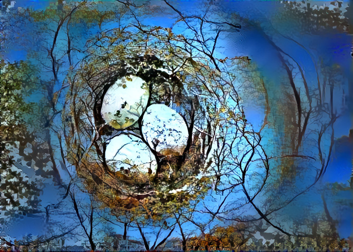 nest