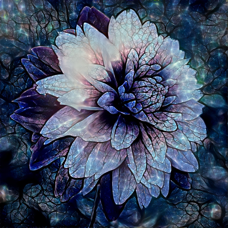 Dahlia