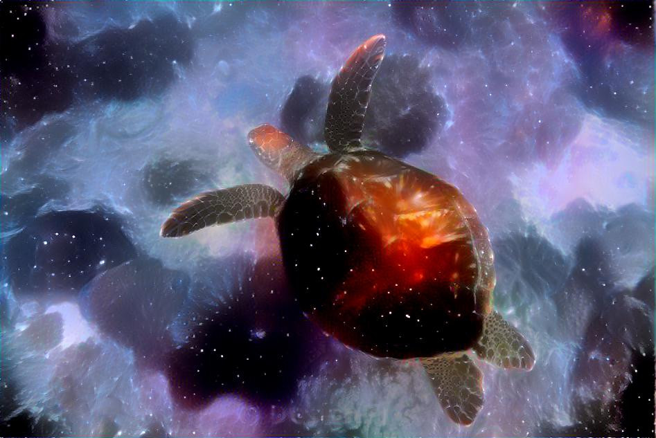 Space Turtle