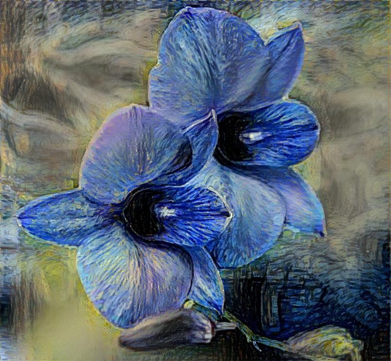 Blue Orchid 