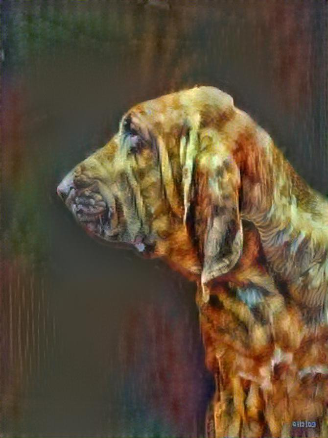 My bloodhound girl Norma