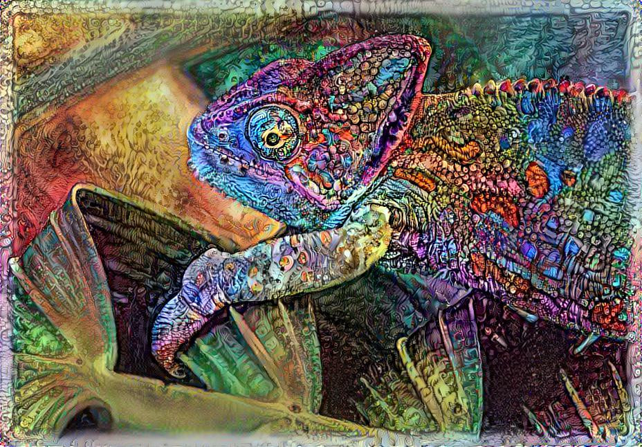 Chameleon