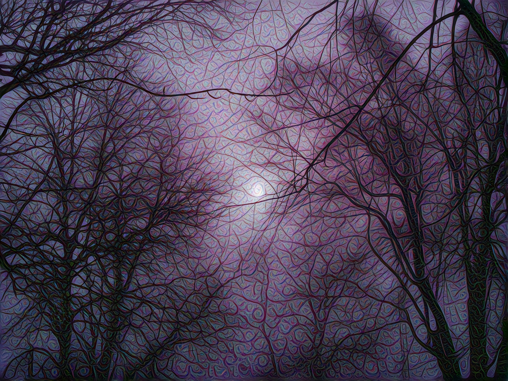 Purple Fog, Winter Night