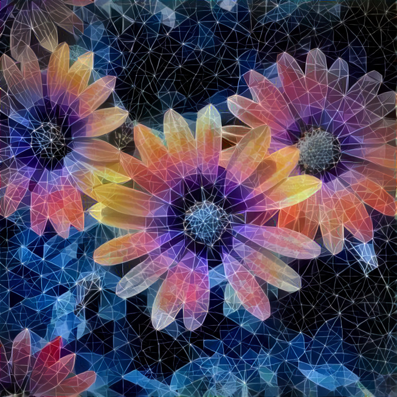 Geometric Flowers