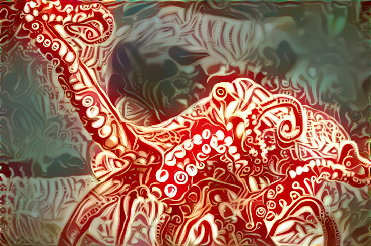 Red Octopus