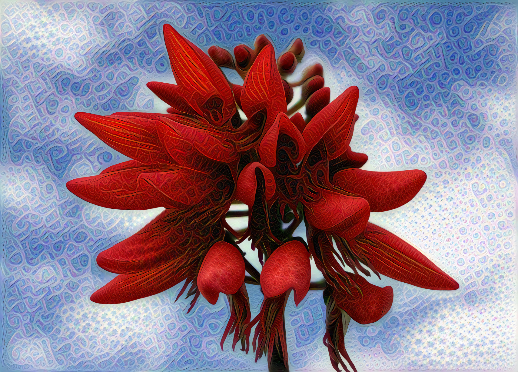 Erythrina Indica Scarlet, Coral Tree