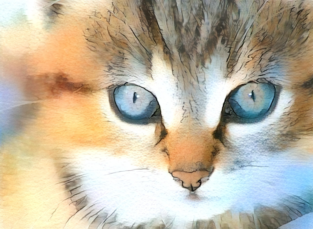 Blue-eyed Kitten