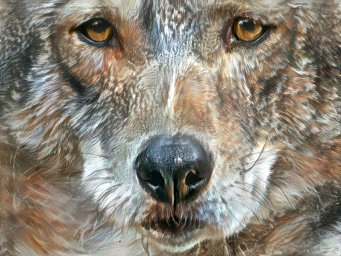 Deep Dream: Coyote