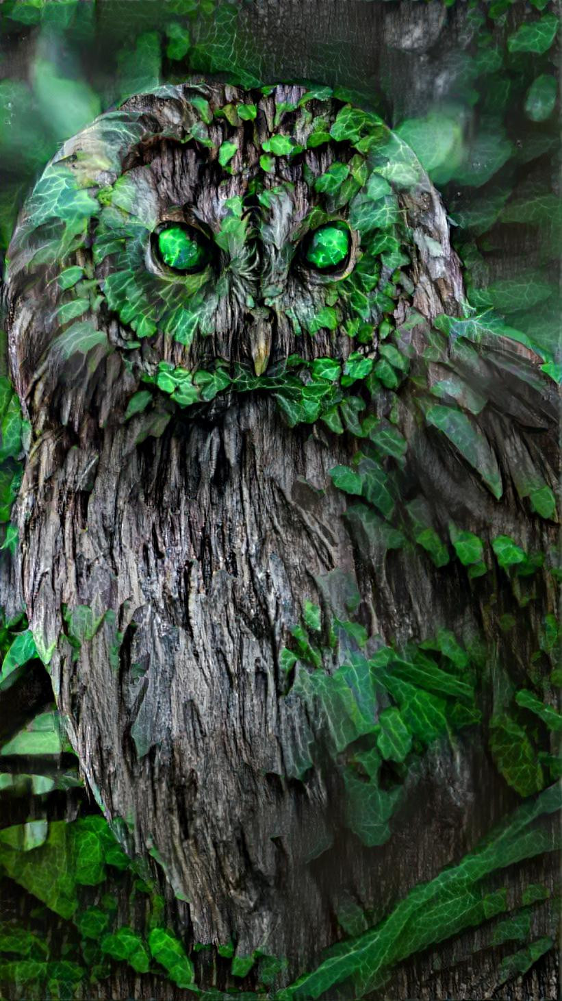 woods owl