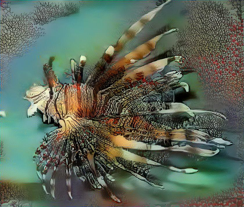 LION FISH