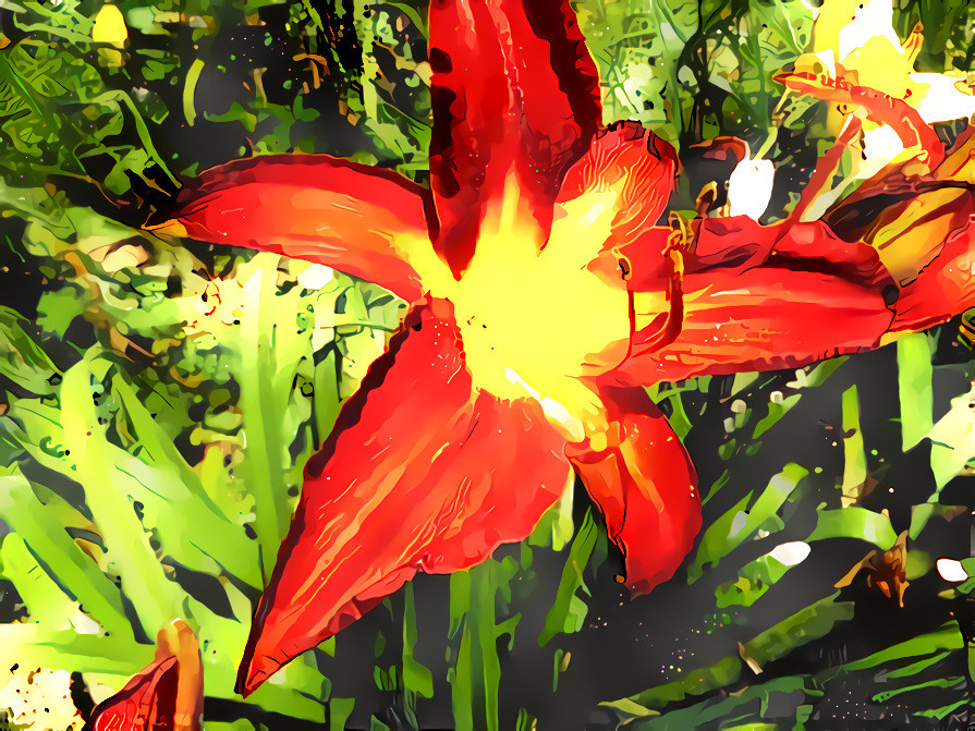 Daylily #22.