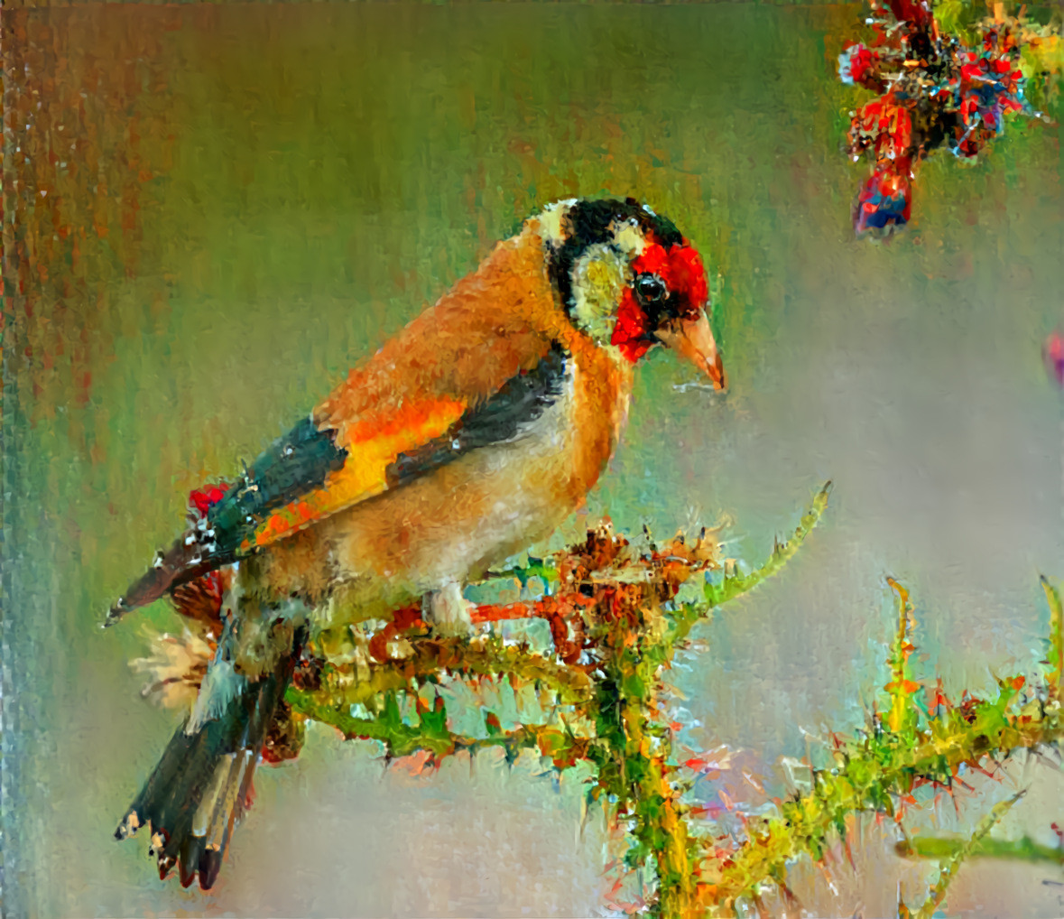 Goldfinch / Щегол /Chardonneret