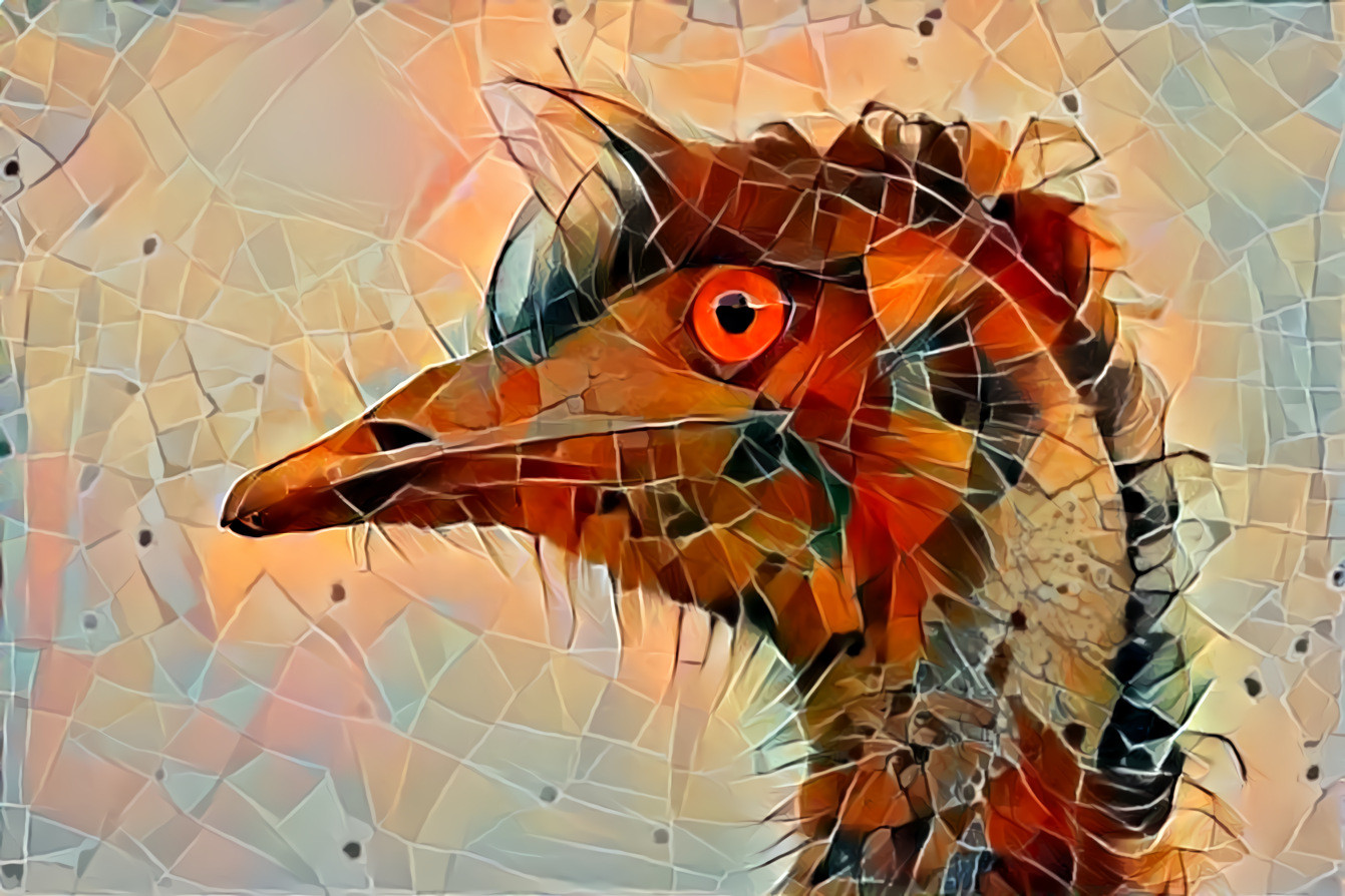 Emu