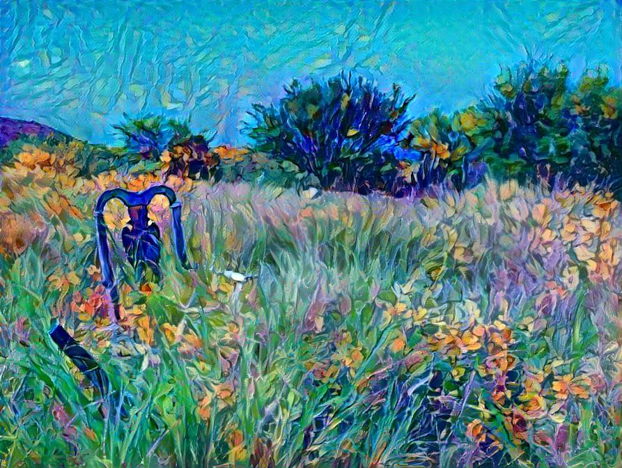 A chair in the tall grass