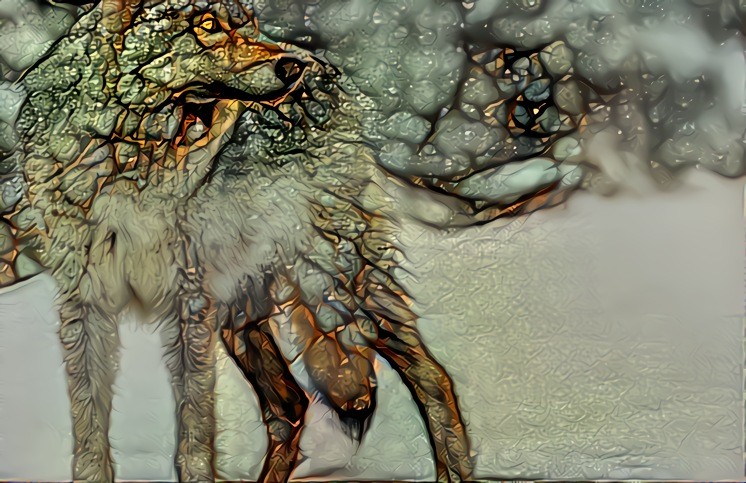 Coyote