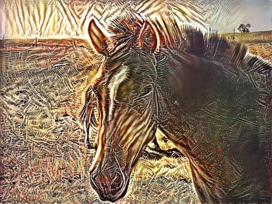 Horse 2