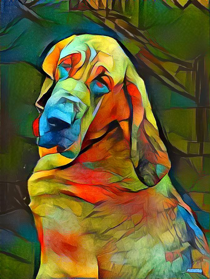 My bloodhound girl Lorenza