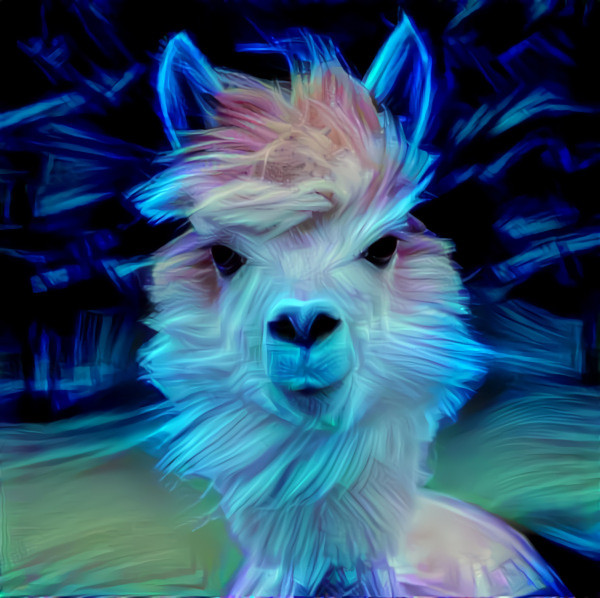 A Windy Day at the Alpaca Farm