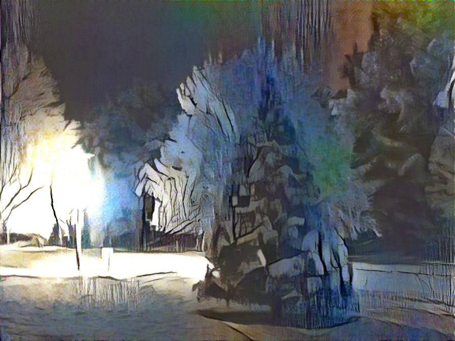 Nighttime Snow Scene