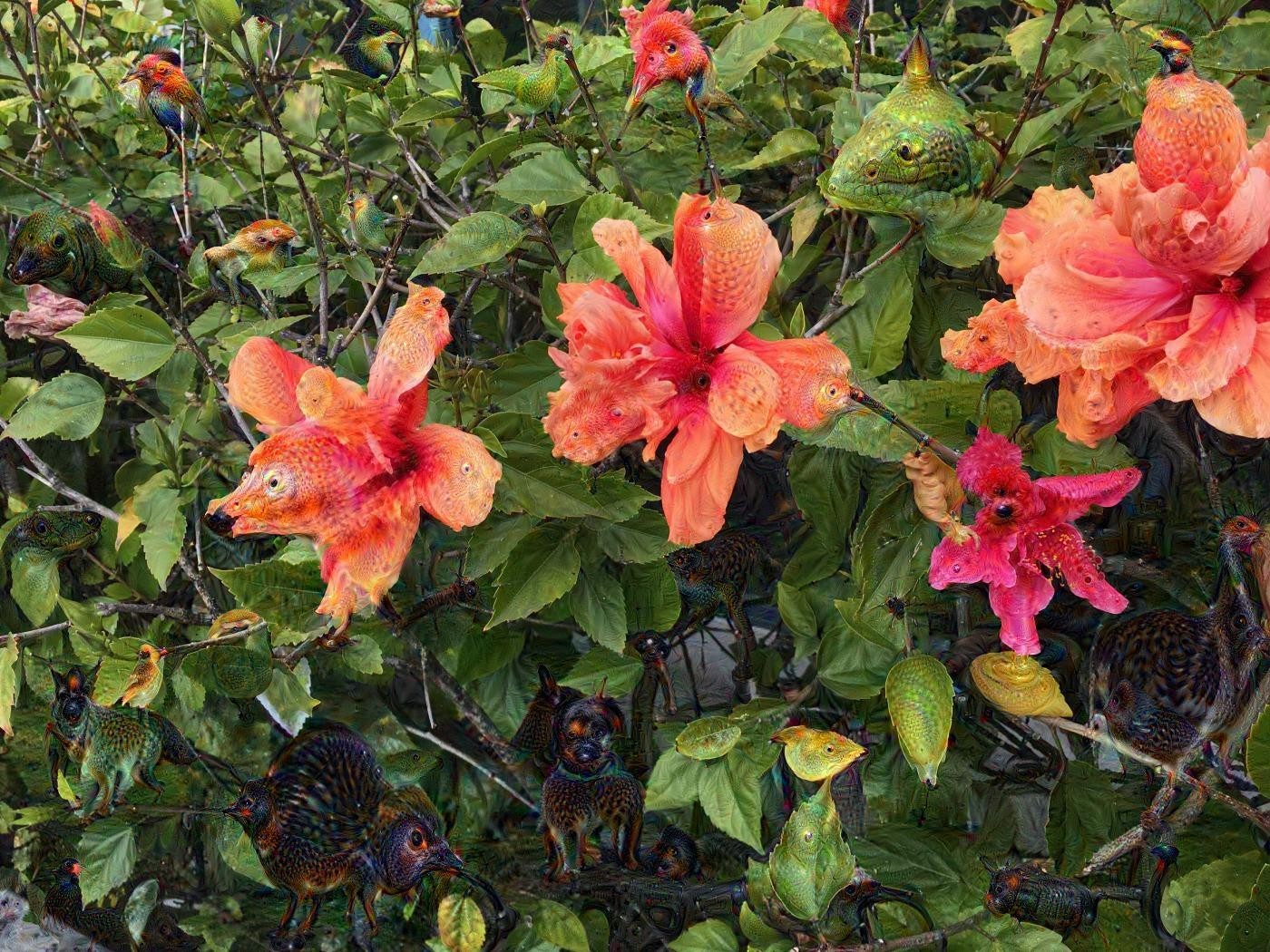 Hibiscus Bird