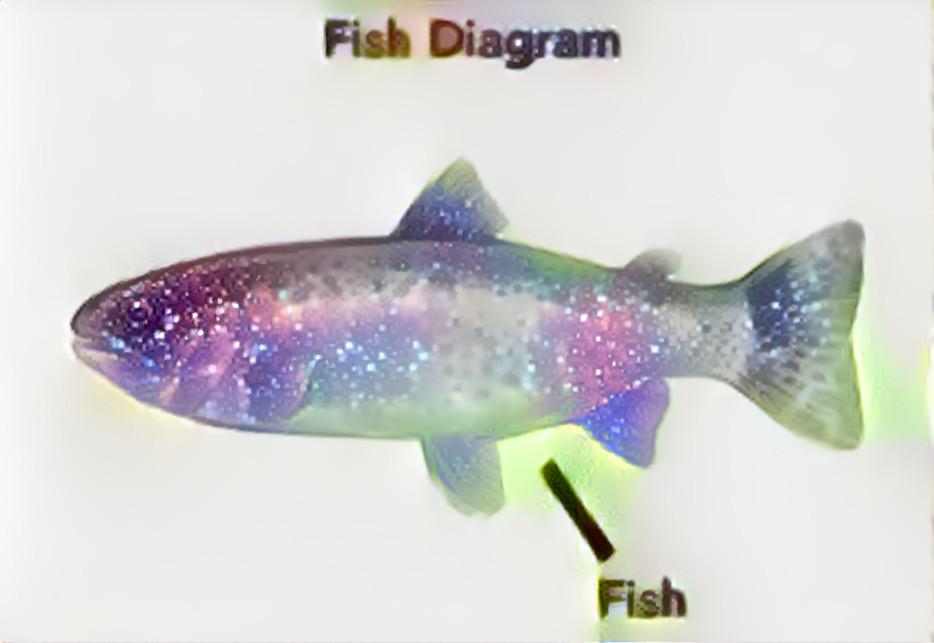 Fish diagram