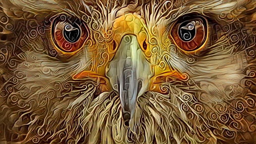 Deep Dream: Eagle (Ver.4)  