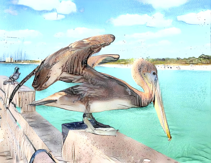 Pelican