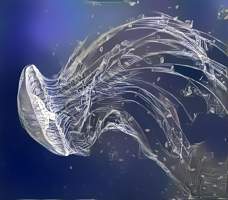 Blueprint for a Jellyfish