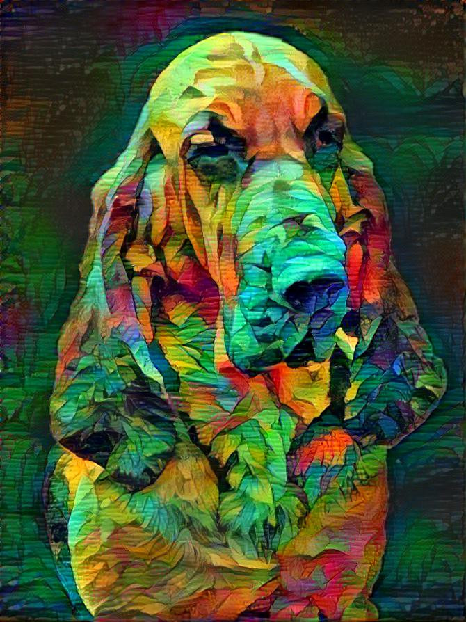 My bloodhound girl Carmen