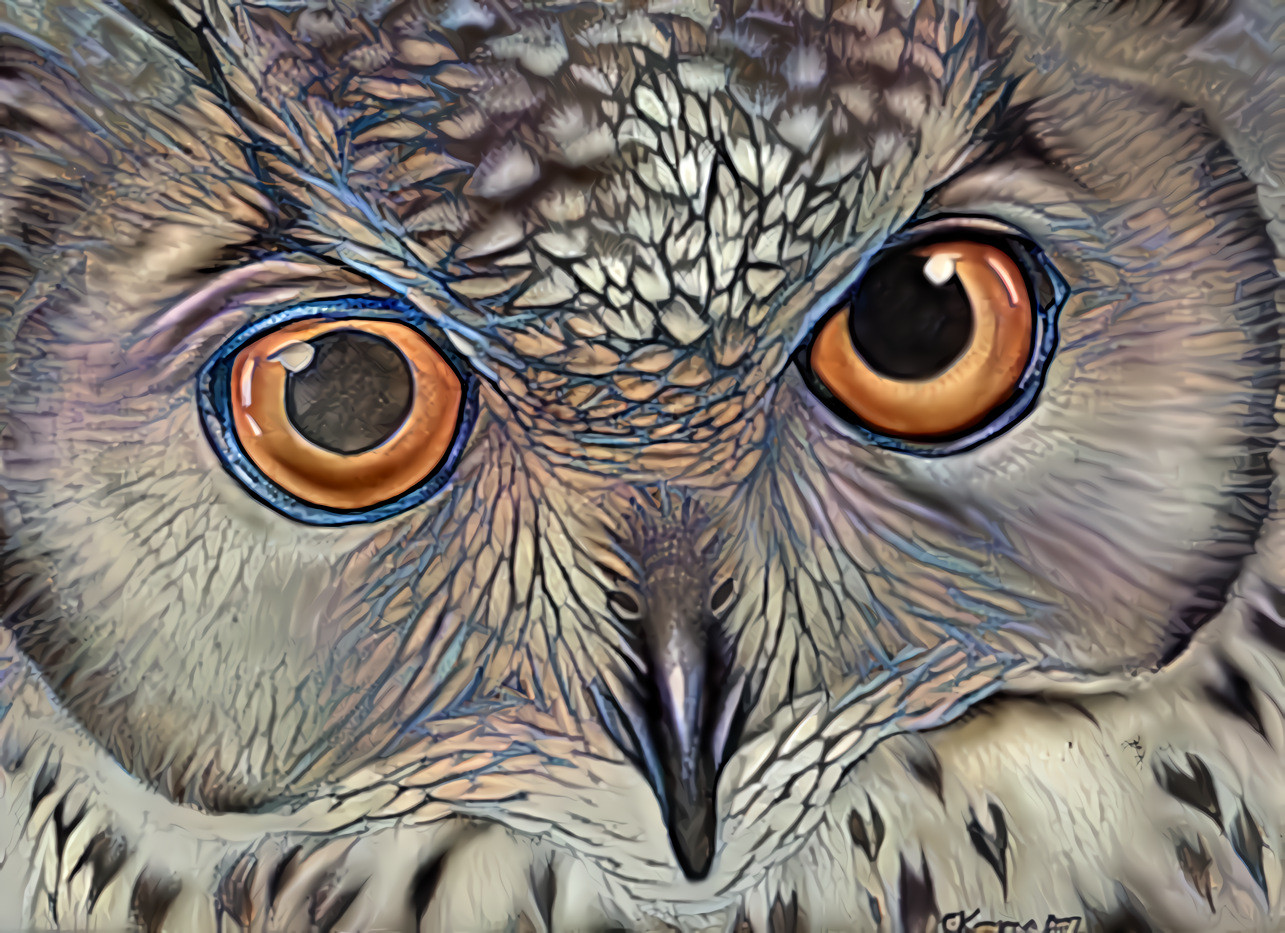 Owl