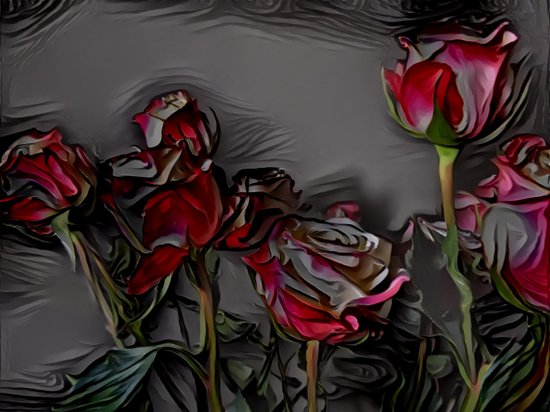 Roses #115