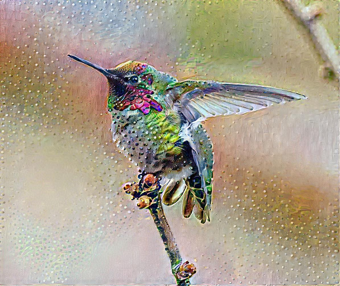 Sparkling Hummer