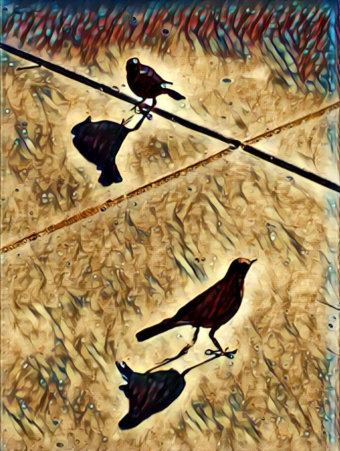 Dancing Black Birds