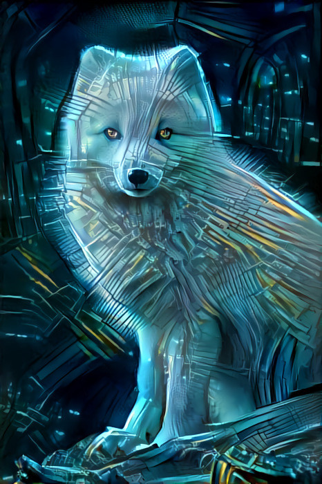 Cyber Fox