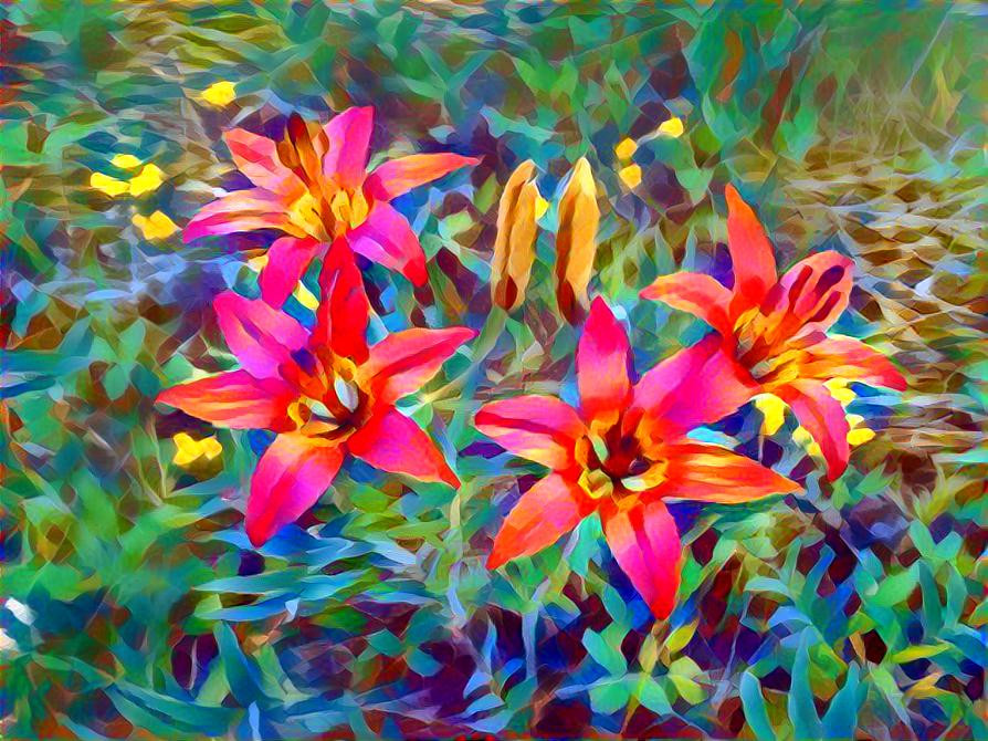 Wood lilies