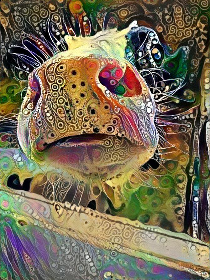 Cow deep dream 2