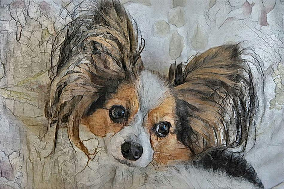 ~ Puppy Love, Papillon ~