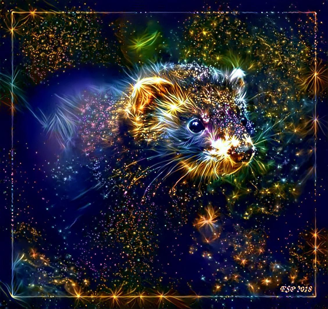 The Mustelid Nebula