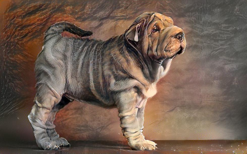 Wrinkle dog 