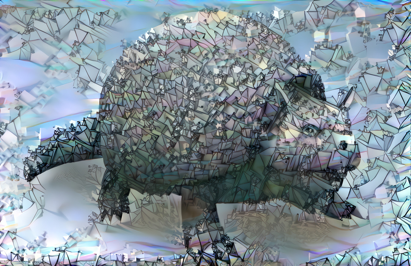 Glyptodon