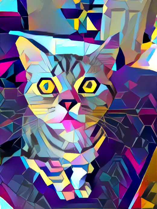 Mosaiccat