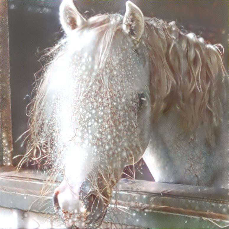 Welsh Pony Llanarth Royalty