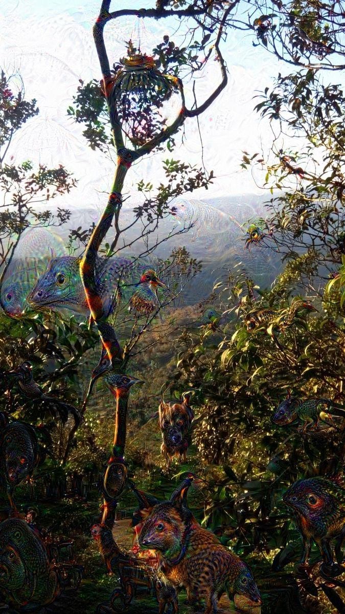 Sierra de piedade porte pour le pays des merveille