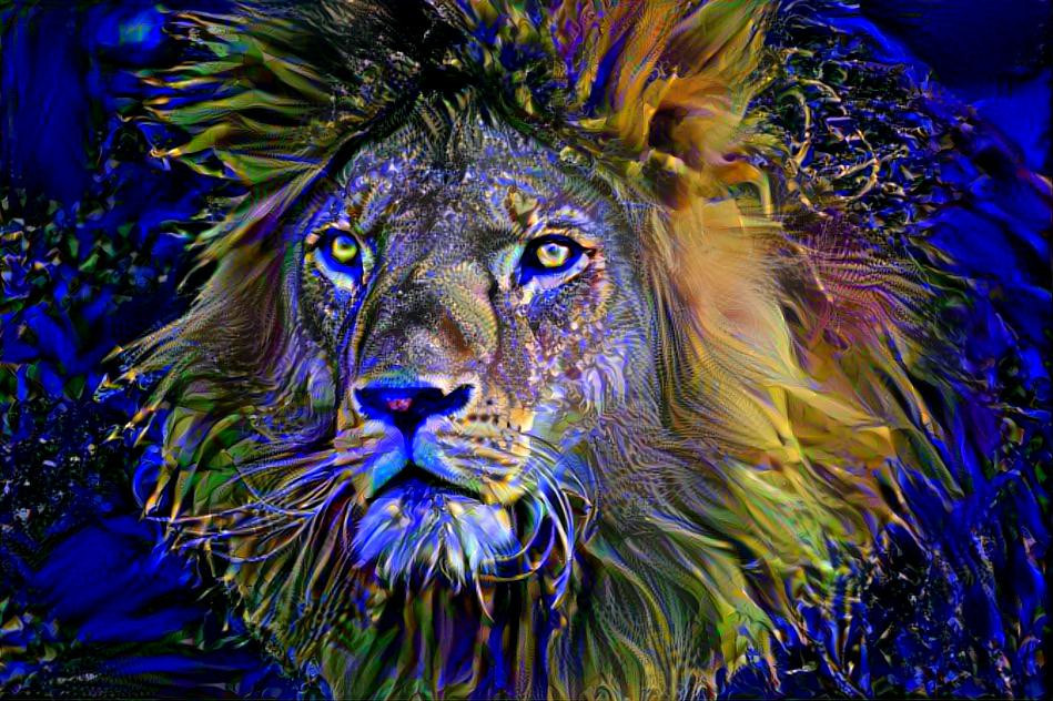 Lion and blue