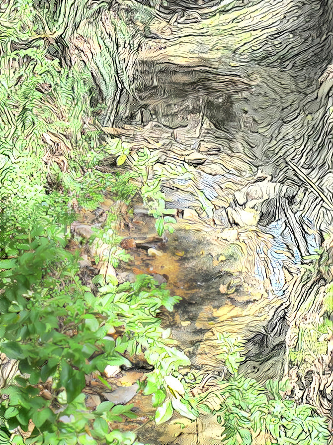 Textures of a Forest Floor