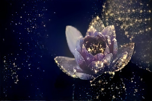 Lotus of Stars
