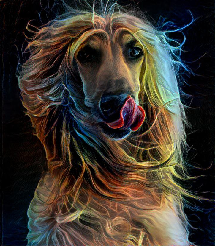 ~ Puppy Love, Afghan Hound ~