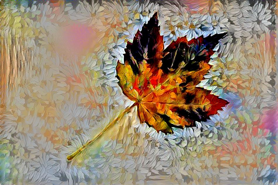 maple leaf