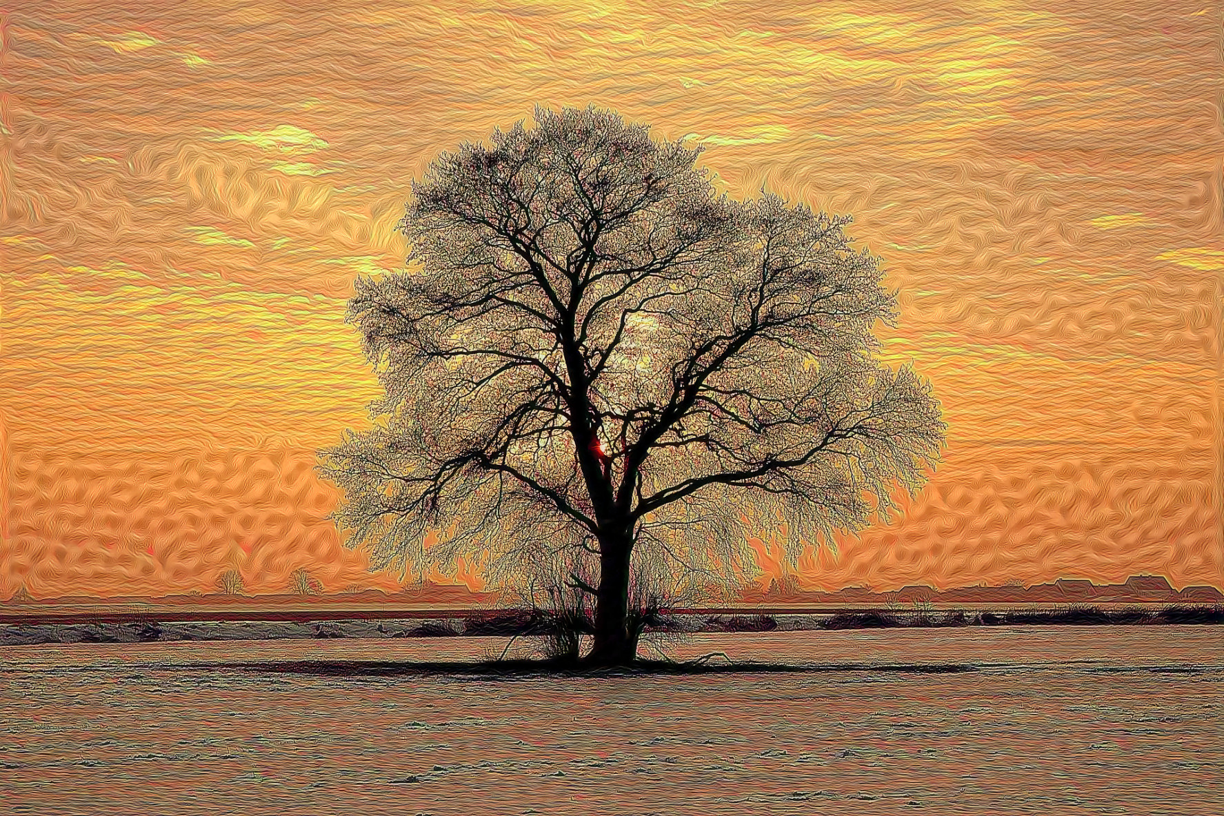 Tree, Winter Horizon